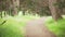 Defocused background of scenic jogging trail through the wilderness