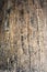 Defocused background texture of an old wood panel consisting of boards or planks for a vintage or rustic themed concept