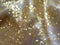 Defocused, Blurred, and Bokeh Gold Lights From A Sparkling Silky Fabric, Light Abstract for Background and Celebration Use