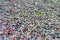 Defocused and blurred crowd of people