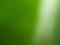 Defocused or blurred or illustration photo of green leaves and white veins. Nature. Summer. Spring