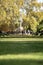 Defocused blurred on purpose. Sun rays over crowded retiro park grass in Madrid at sunset