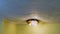 Defocused ceiling with water damage