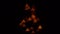 Defocused Christmas tree blinking lights over black background - triangular bokeh.