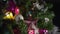 Defocused closeup Christmas tree with colorful flashlights
