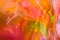 Defocused colorful abstract background