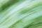 Defocused dynamic abstract green background