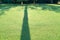 Defocused effect trees in distance at end of  long shadow leading across lawn to trees