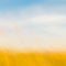 Defocused grass and sky natural background