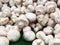 Defocused mushrooms background