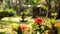 Defocused natural yoga paradise A serene landscape of vibrant flowers and lush vegetation with a blurred figure