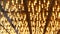 Defocused old fasioned electric lamps glowing at night. Abstract close up of blurred retro casino decoration shimmering, Las Vegas