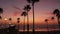 Defocused palms, twilight sky, California USA. Tropical beach sunset atmosphere. Los Angeles vibes.