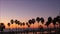 Defocused palms, twilight sky, California USA. Tropical beach sunset atmosphere. Los Angeles vibes.