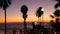 Defocused palms, twilight sky, California USA. Tropical beach sunset atmosphere. Los Angeles vibes.