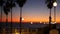 Defocused palms, twilight sky, California USA. Tropical beach sunset atmosphere. Los Angeles vibes.