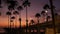 Defocused palms, twilight sky, California USA. Tropical beach sunset atmosphere. Los Angeles vibes.