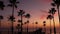 Defocused palms, twilight sky, California USA. Tropical beach sunset atmosphere. Los Angeles vibes.