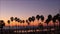 Defocused palms, twilight sky, California USA. Tropical beach sunset atmosphere. Los Angeles vibes.