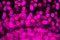 Defocused pink and purple lights background photo