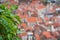 Defocused Red tiled houses roofs of Kotor Old town