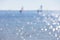 Defocused seascape with windsurfers on sea surface