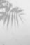 Defocused shadow of palm leaves in grey mode with space for text