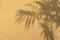 Defocused shadow of palm leaves on yellow background with space for text