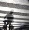 Defocused shadows on zebra crossroad