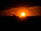 Defocused sun at the sunset over the trees, Puebla, Mexico