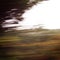 Defocused trees viewed through a car windscreen.