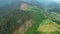 Deforestation. Aerial drone view of forest destroyed Ukrainian Carpathians