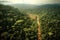 deforestation boundary line between rainforest and cleared land