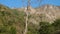 Deforestation Cinematics: Dried-Up Leafless Tree against Rugged Mountains and Blue Sky in Uttarakhand, India