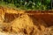 Deforestation close up with roots, rocks showing in sunlight. Red and yellow rocks where soil was dug from forest using an