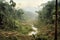 deforestation contrasted with untouched rainforest