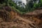 deforestation leads to erosion and mudslides in the forest