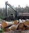 Deforestation and loading tree trunks on a machine