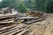 Deforestation make shift lumber yard in a forest