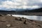 A deforestation site, next to the lake `Lac de l`Ospedale`