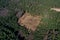 Deforestation top view aerial photography from a drone