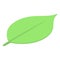 Deforestation tree leaf icon, isometric style