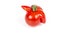 Deformed red tomato on a white background