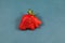 Deformed strawberry abnormal shape on blue background, close-up. Ugly fruits and vegetables can be eaten. Concept - reduction of