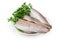 Defrosted uncooked carcasses of Alaska pollock with parsley on dish