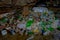 DEHRADUN, INDIA - NOVEMBER 07, 2015: Close up of garbage with plastic bottles, baskets, sacks in Tapkeshwar Mahadev