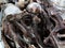 Dehydrated llamas used for offer in Andean ritual for sale on La Paz street Bolivia