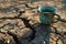 Dehydration symbolized by a cup of water on arid, cracked soil