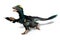 Deinonychus - Dinosaur with Feathers