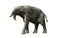 Deinotherium